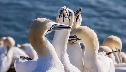 华体会平台：让体育热爱成为生活的新动力